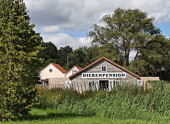 Achterkant van het dierenpension met grote speelweide